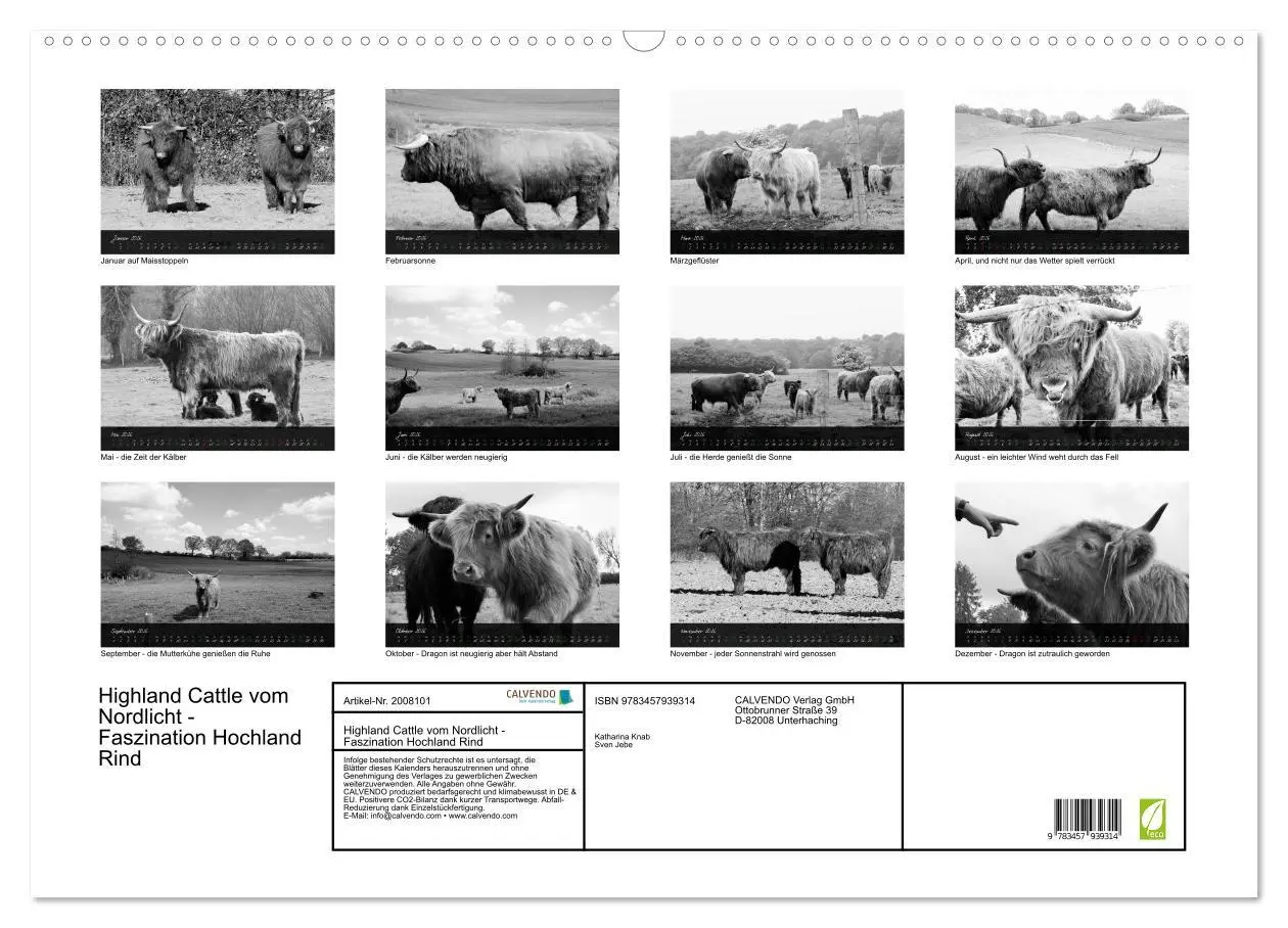 Bild: 9783457939314 | Highland Cattle vom Nordlicht - Faszination Hochland Rind...