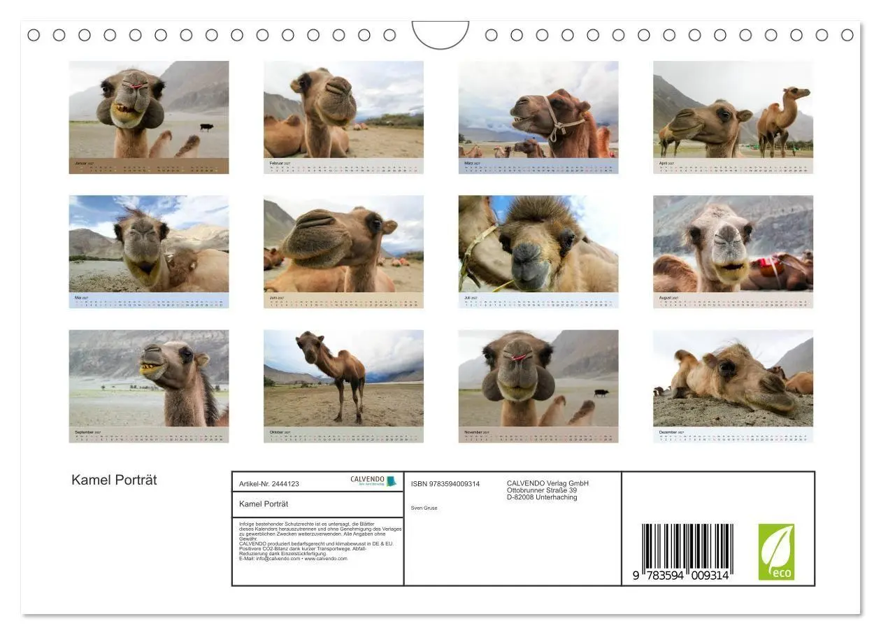 Bild: 9783594009314 | Kamel Porträt (Wandkalender 2027 DIN A4 quer), CALVENDO Monatskalender