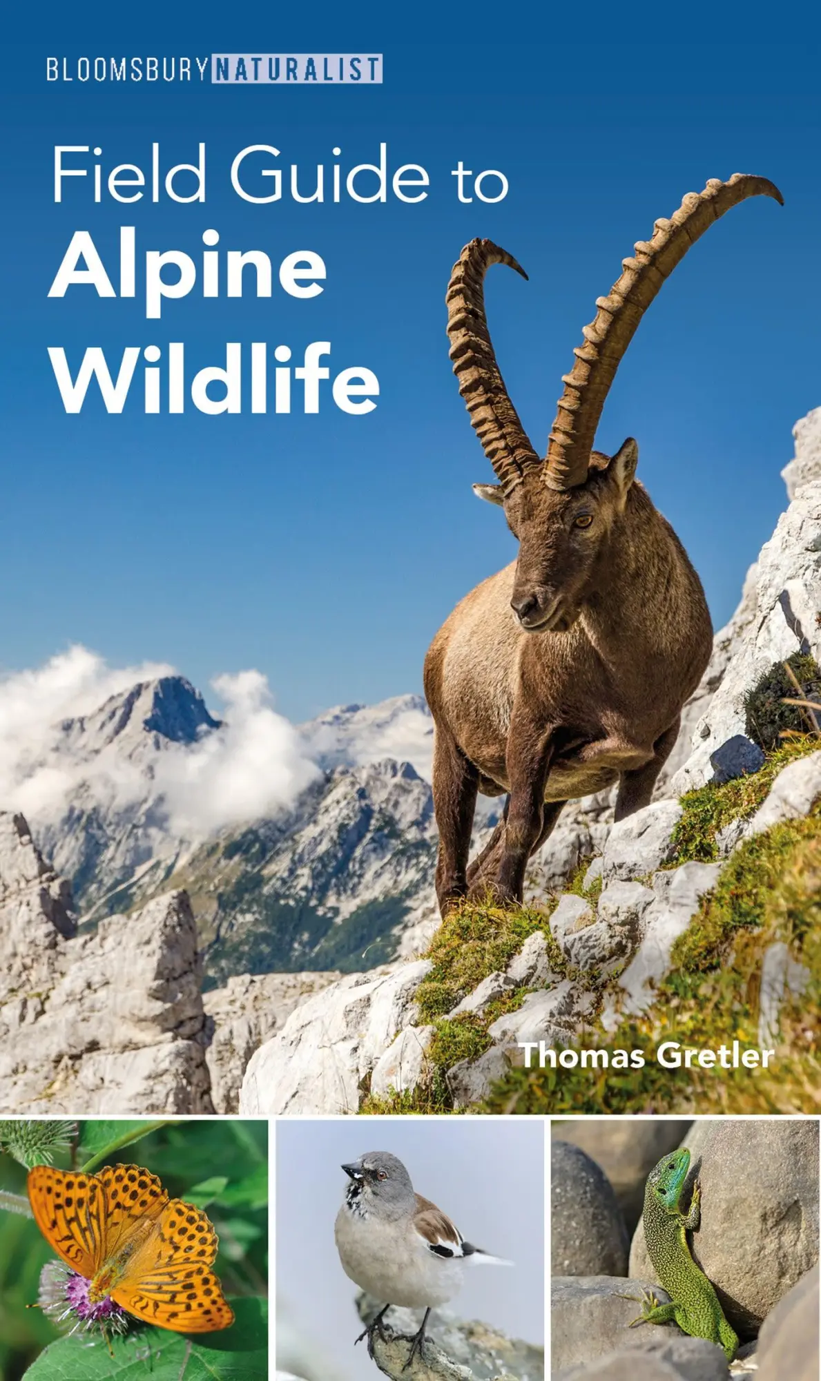 Cover: 9781399409414 | Field Guide to Alpine Wildlife | Thomas Gretler | Taschenbuch | 2024
