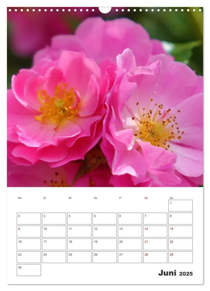 Bild: 9783435909414 | BLÜTENZAUBER (Wandkalender 2025 DIN A3 hoch), CALVENDO Monatskalender