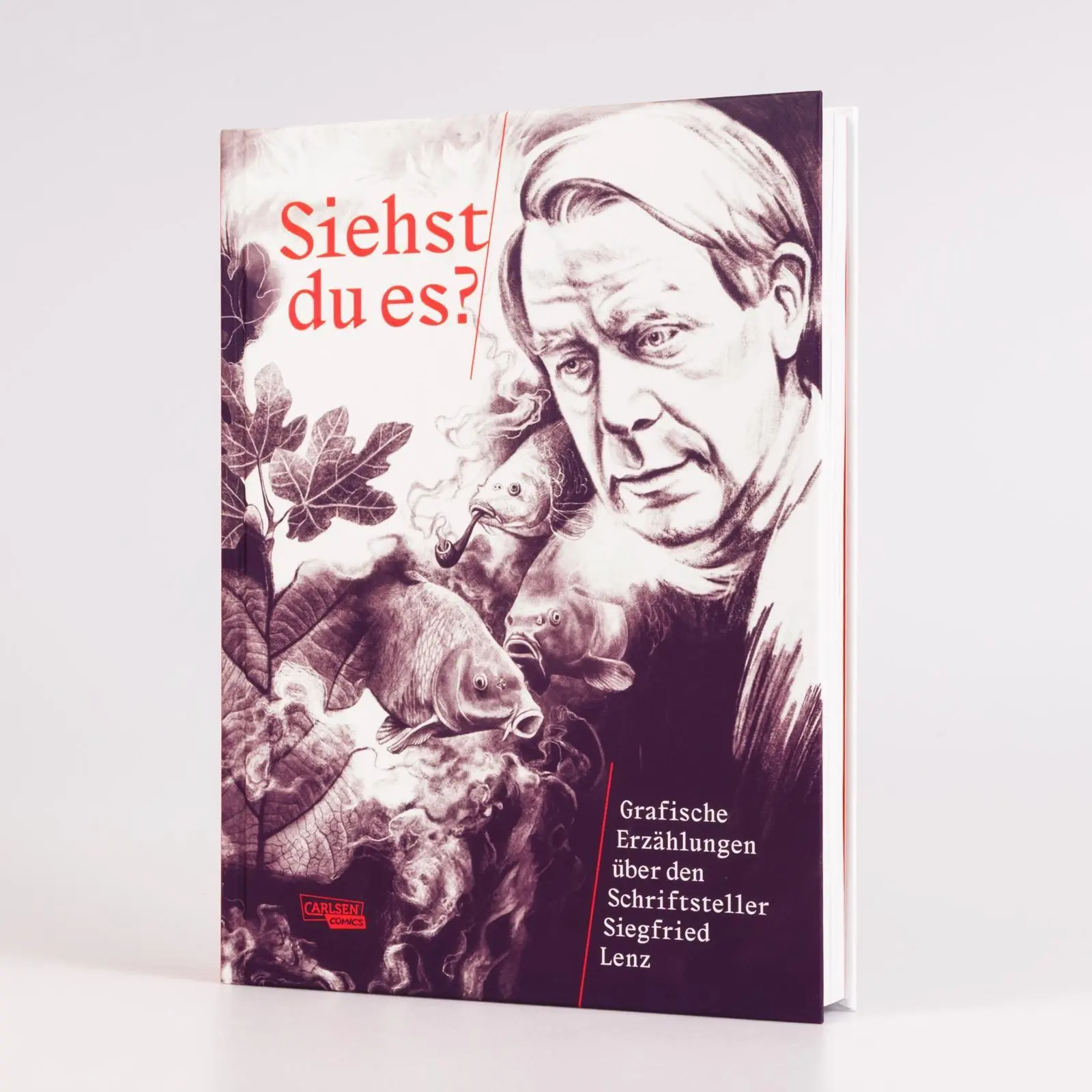Bild: 9783551809414 | Siehst du es? Grafische Erzählungen über den Schriftsteller...