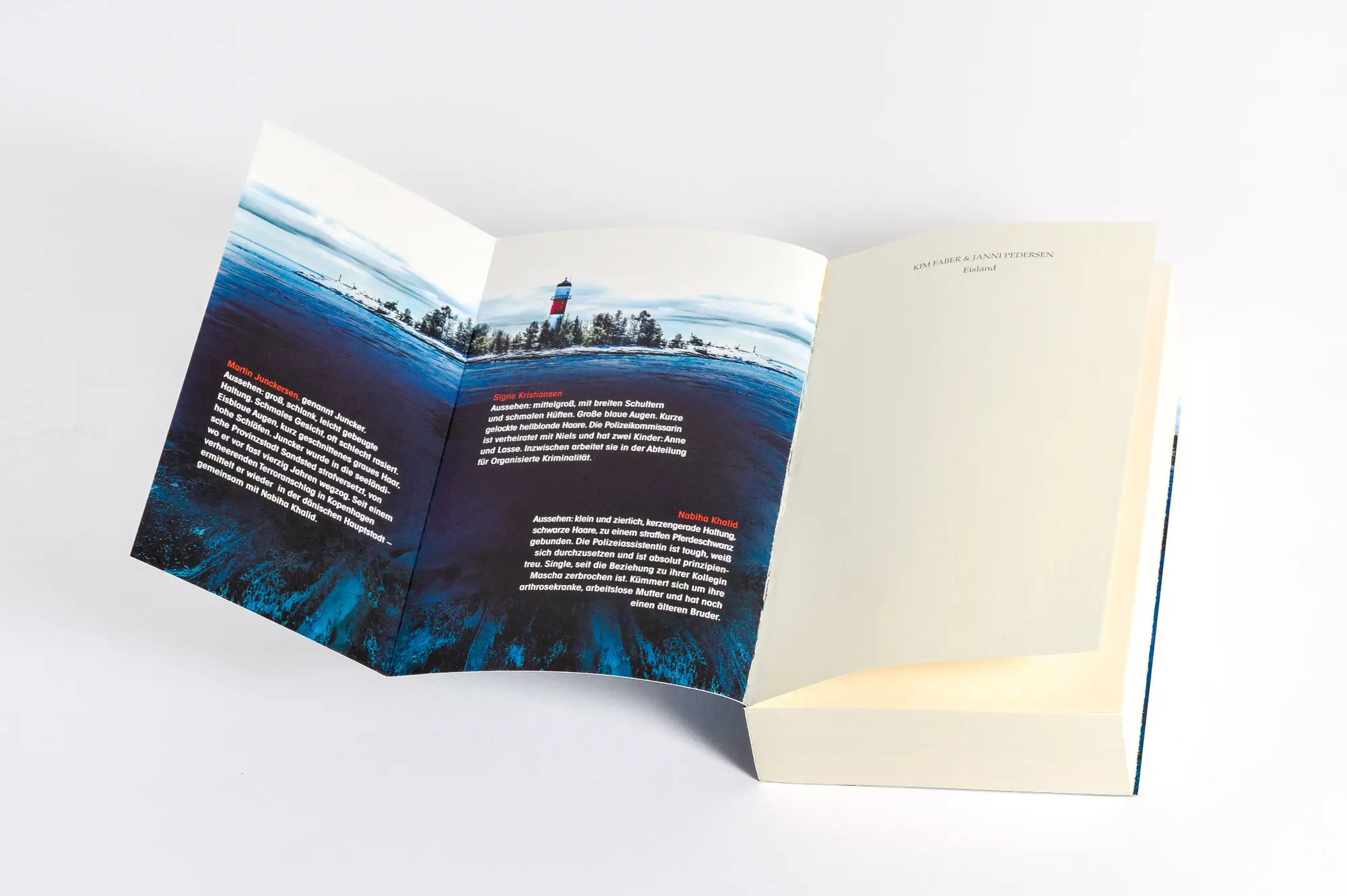 Bild: 9783764509514 | Eisland | Kim Faber (u. a.) | Taschenbuch | Juncker &amp; Kristiansen