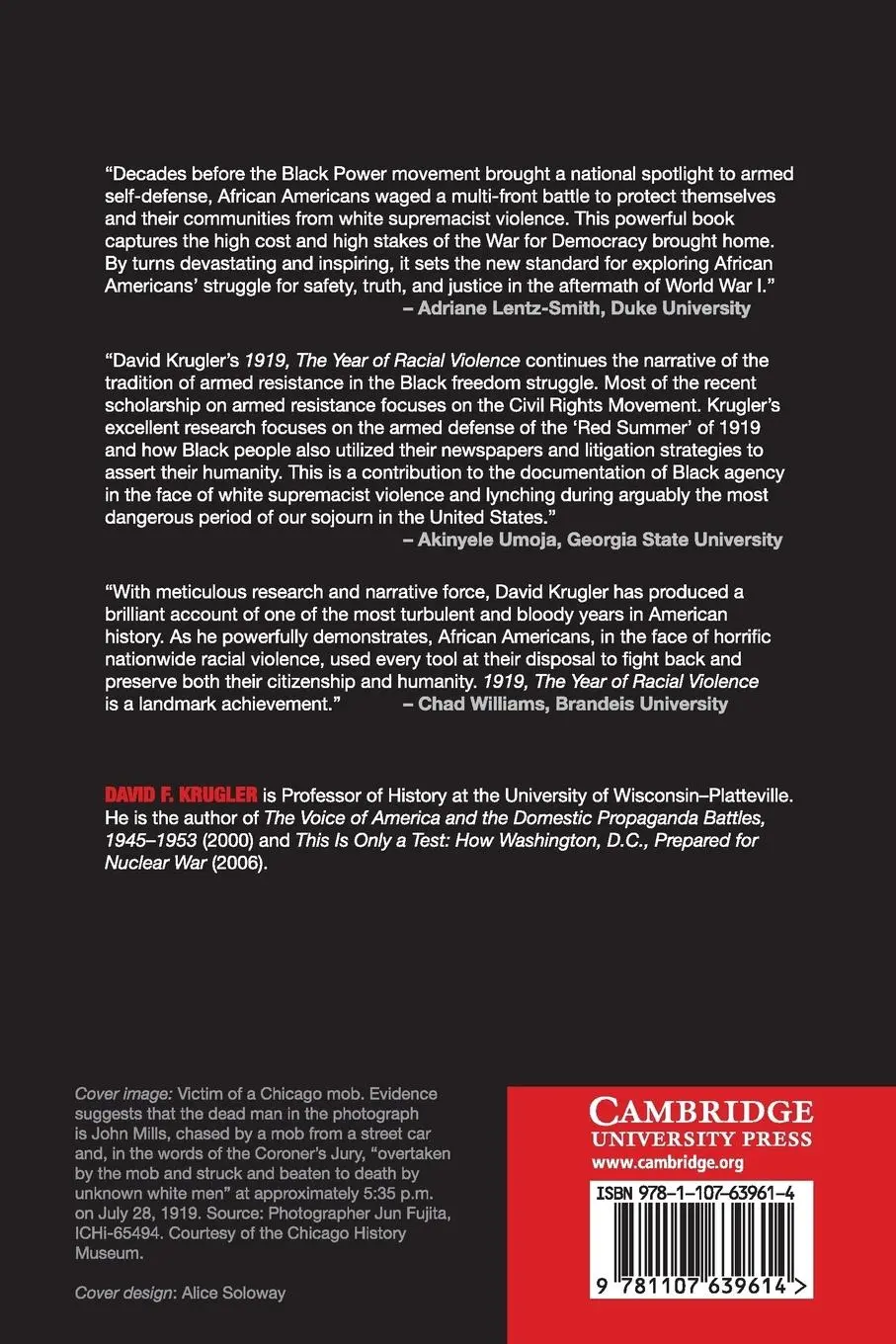 Rückseite: 9781107639614 | 1919, The Year of Racial Violence | David F. Krugler | Taschenbuch