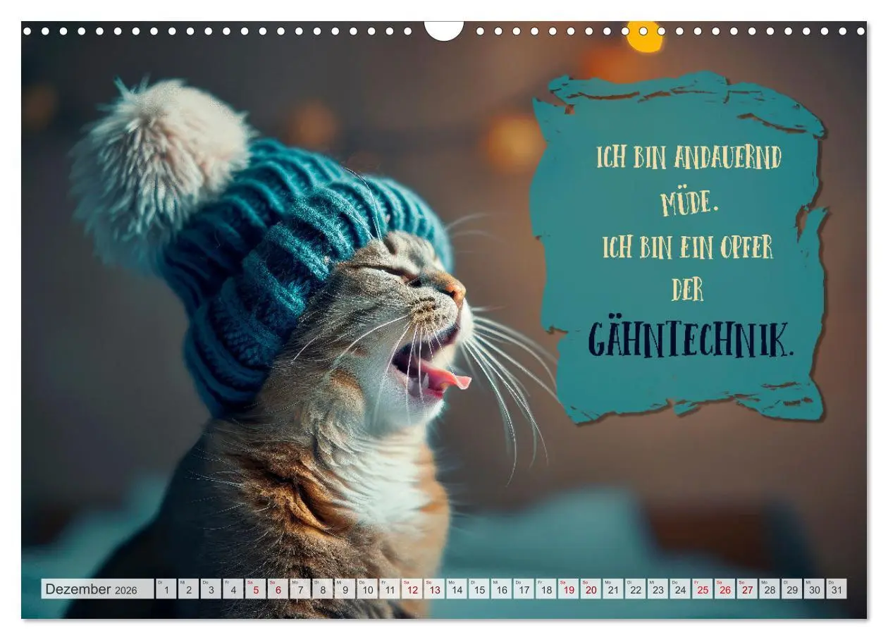 Bild: 9783457389614 | MORGENMUFFEL Mürrische Weisheiten (Wandkalender 2026 DIN A3 quer),...
