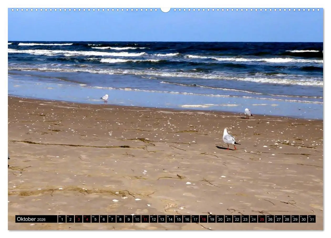 Bild: 9783516099614 | USEDOM - Seebäder und Naturparadies (Wandkalender 2026 DIN A2...