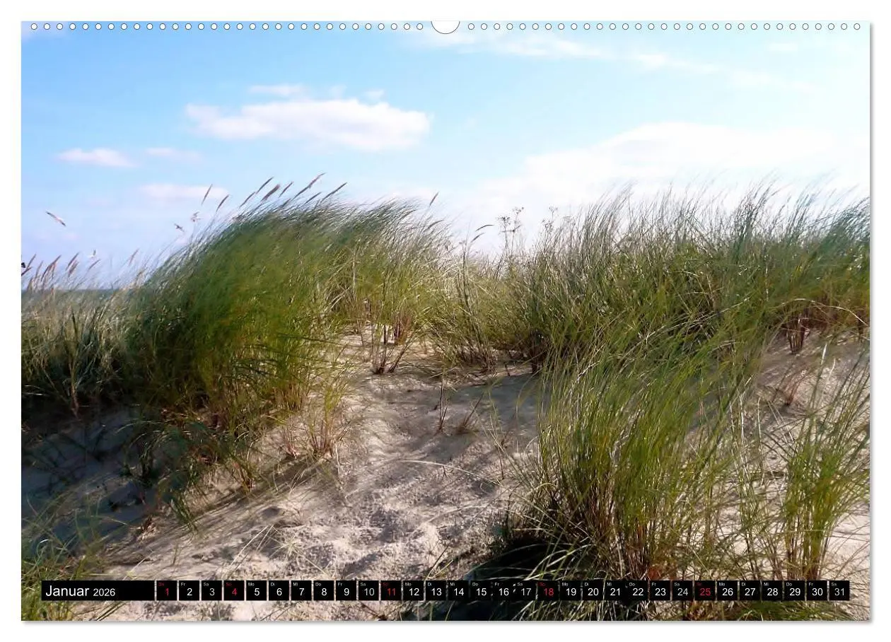 Bild: 9783516099614 | USEDOM - Seebäder und Naturparadies (Wandkalender 2026 DIN A2...