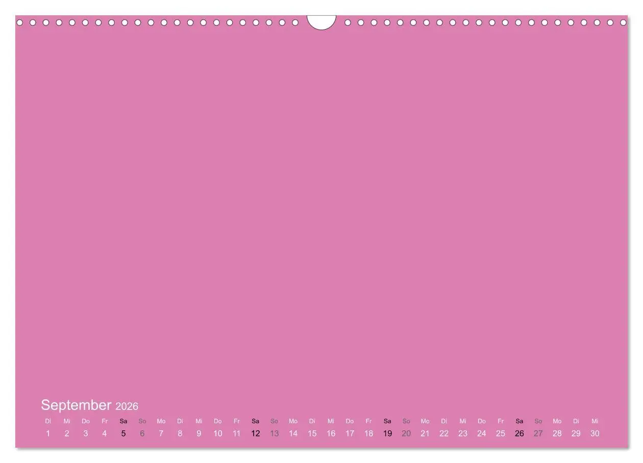 Bild: 9783516169614 | Bastelkalender - Pink (Wandkalender 2026 DIN A3 quer), CALVENDO...