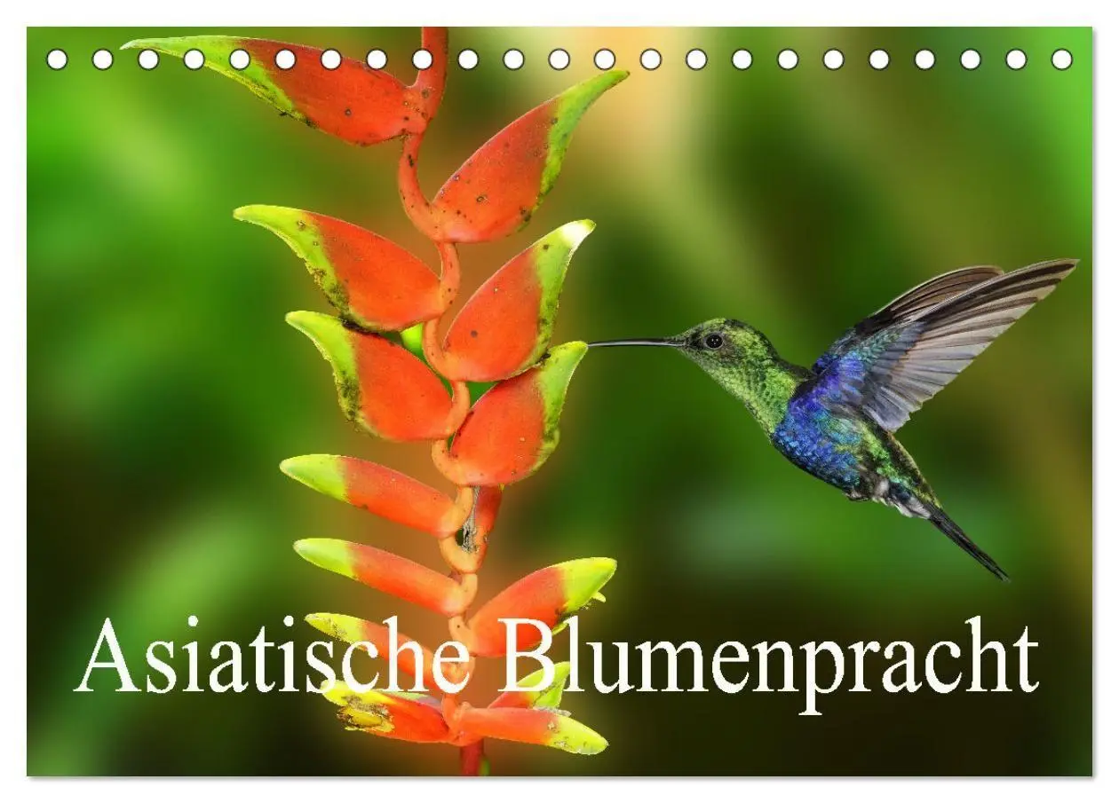 Cover: 9783569499614 | Asiatische Blumenpracht (Tischkalender 2027 DIN A5 quer), CALVENDO...