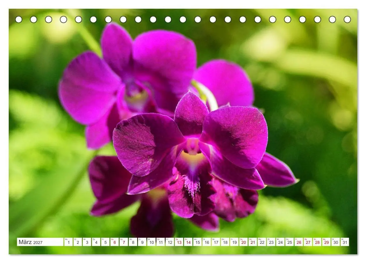 Bild: 9783569499614 | Asiatische Blumenpracht (Tischkalender 2027 DIN A5 quer), CALVENDO...