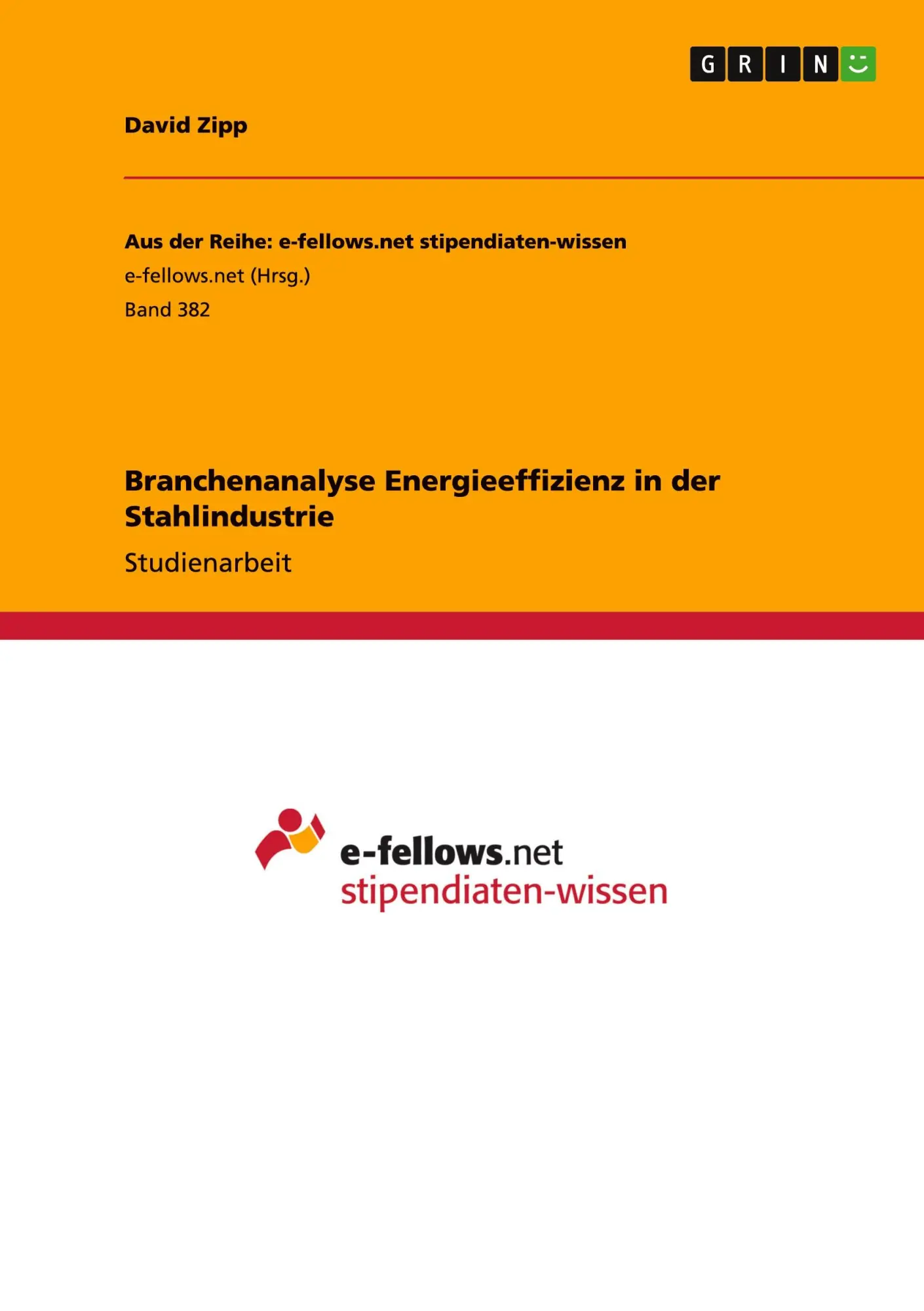 Cover: 9783656139614 | Branchenanalyse Energieeffizienz in der Stahlindustrie | David Zipp