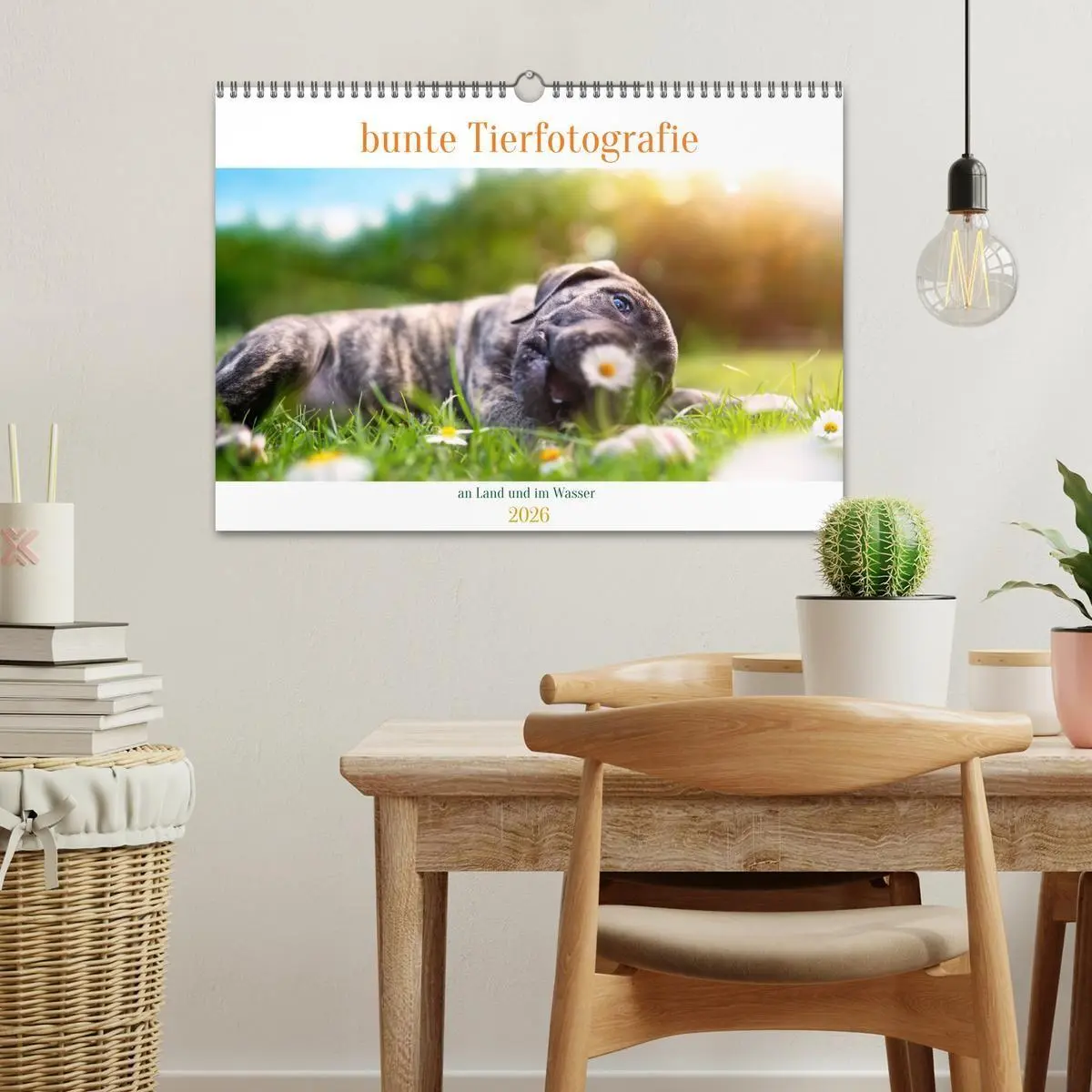 Bild: 9783457379714 | bunte Tierfotografie an Land und im Wasser (Wandkalender 2026 DIN...