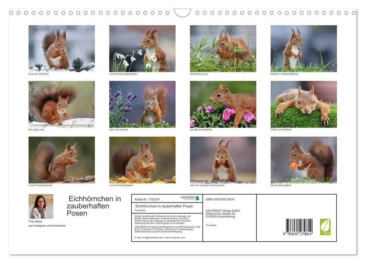 Bild: 9783435279814 | Eichhörnchen in zauberhaften Posen (Wandkalender 2025 DIN A3 quer),...