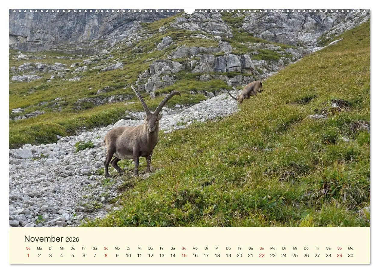 Bild: 9783457679814 | Wanderglück im Allgäu (hochwertiger Premium Wandkalender 2026 DIN...