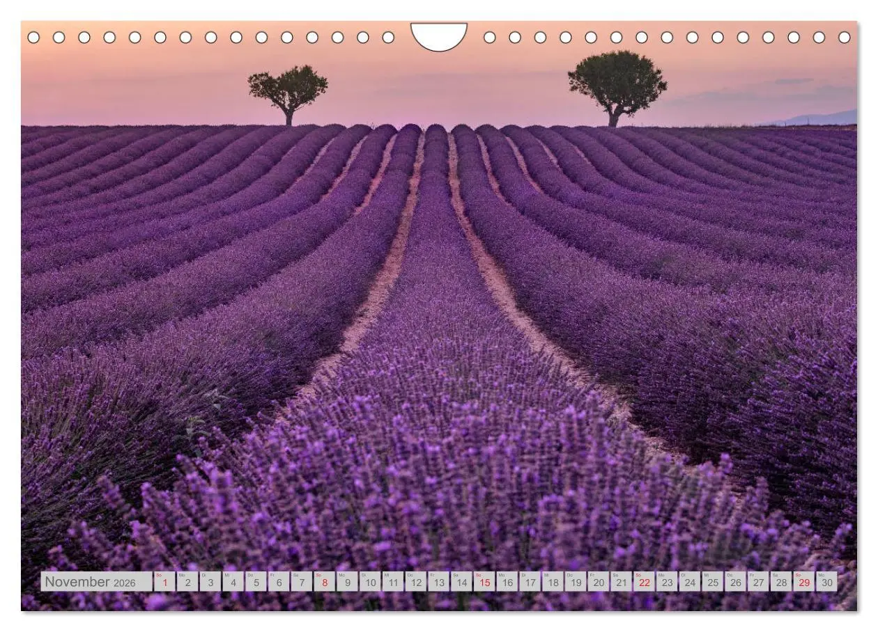Bild: 9783457819814 | Provence, der sinnliche Süden Frankreichs (Wandkalender 2026 DIN A4...