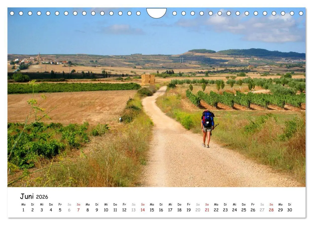 Bild: 9783516079814 | Jakobsweg - Camino Frances (Wandkalender 2026 DIN A4 quer),...