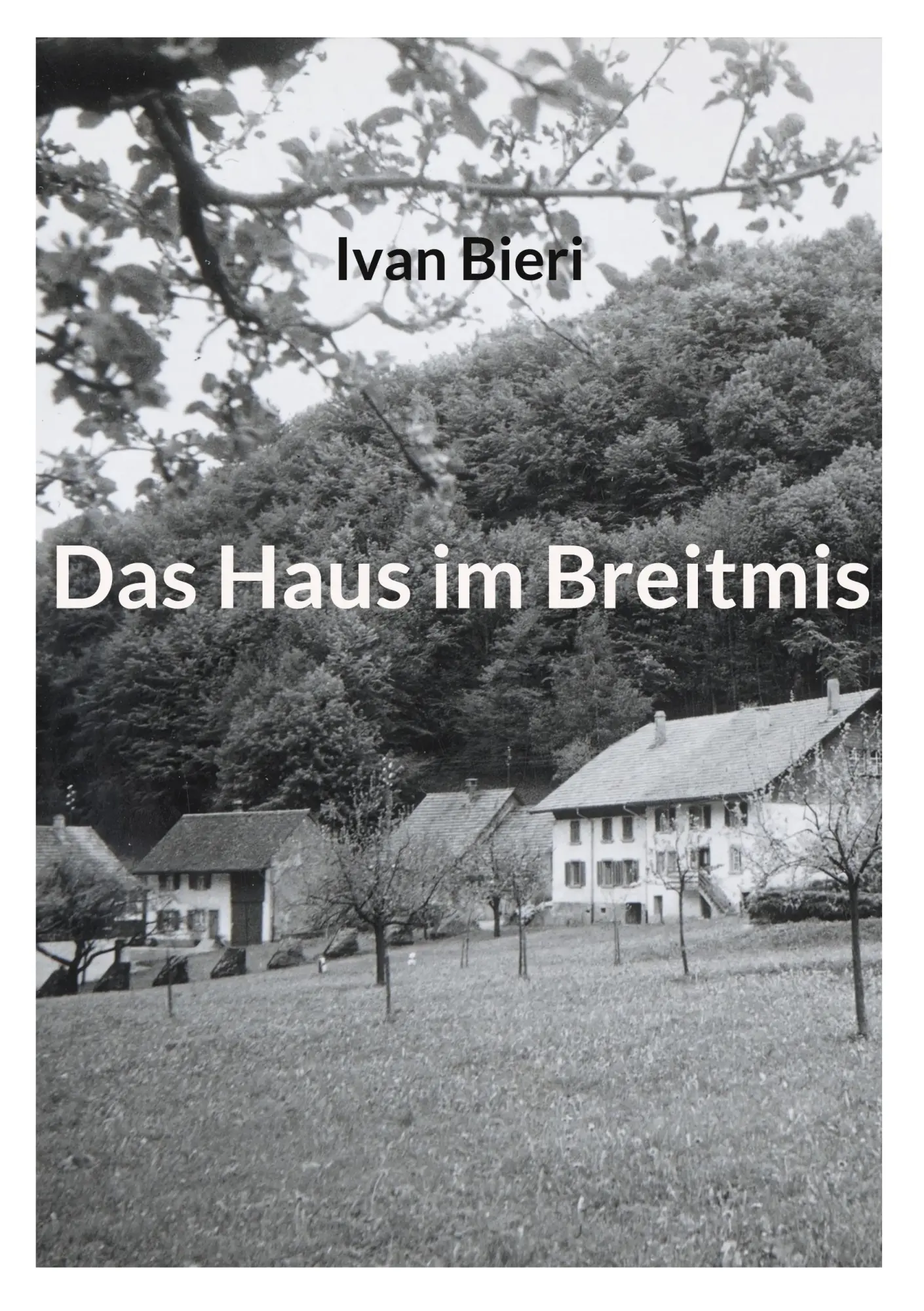 Cover: 9783769389814 | Das Haus im Breitmis | Ivan Bieri | Taschenbuch | 232 S. | Deutsch