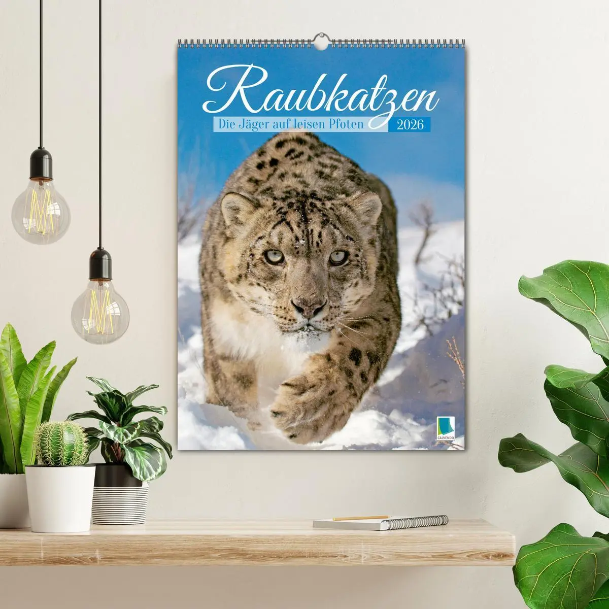 Bild: 9783457289914 | Raubkatzen: Die Jäger auf leisen Pfoten (Wandkalender 2026 DIN A2...