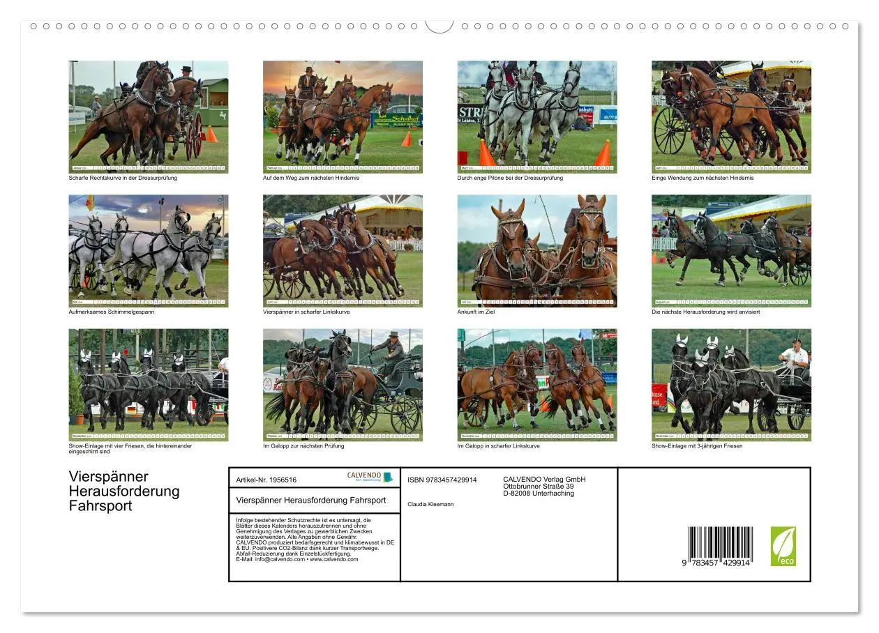 Bild: 9783457429914 | Vierspänner Herausforderung Fahrsport (hochwertiger Premium...