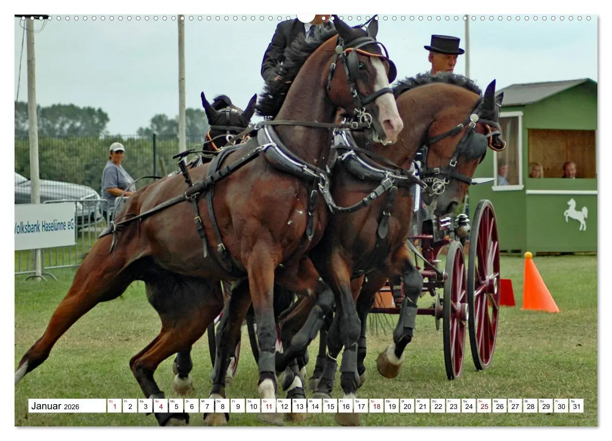 Bild: 9783457429914 | Vierspänner Herausforderung Fahrsport (hochwertiger Premium...