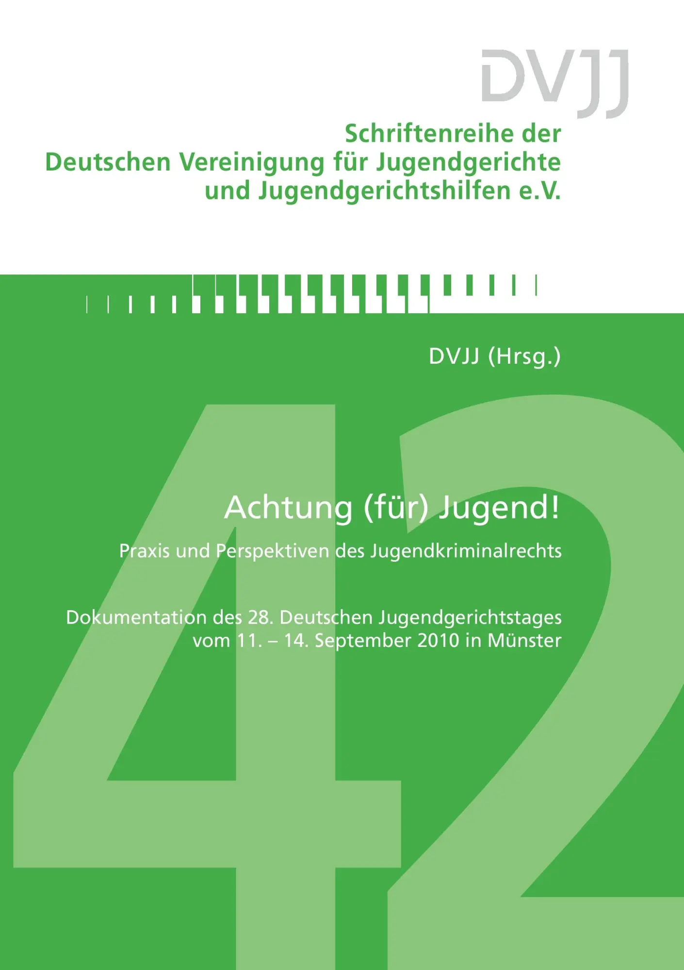Cover: 9783936999914 | Achtung (für) Jugend! | Dvjj | Taschenbuch | 684 S. | Deutsch | 2012