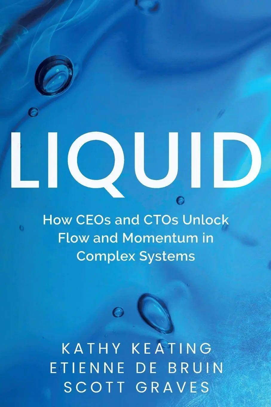 Cover: 9781967830015 | Liquid | How CEOs &amp; CTOs Unlock Flow and Momentum in Complex Systems