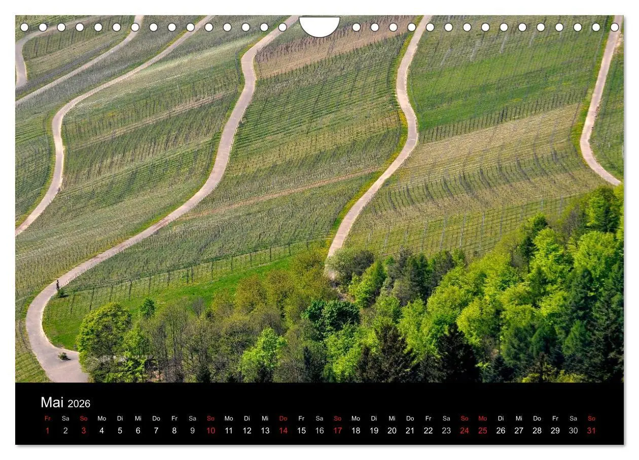 Bild: 9783516180015 | Wege 2026 (Wandkalender 2026 DIN A4 quer), CALVENDO Monatskalender