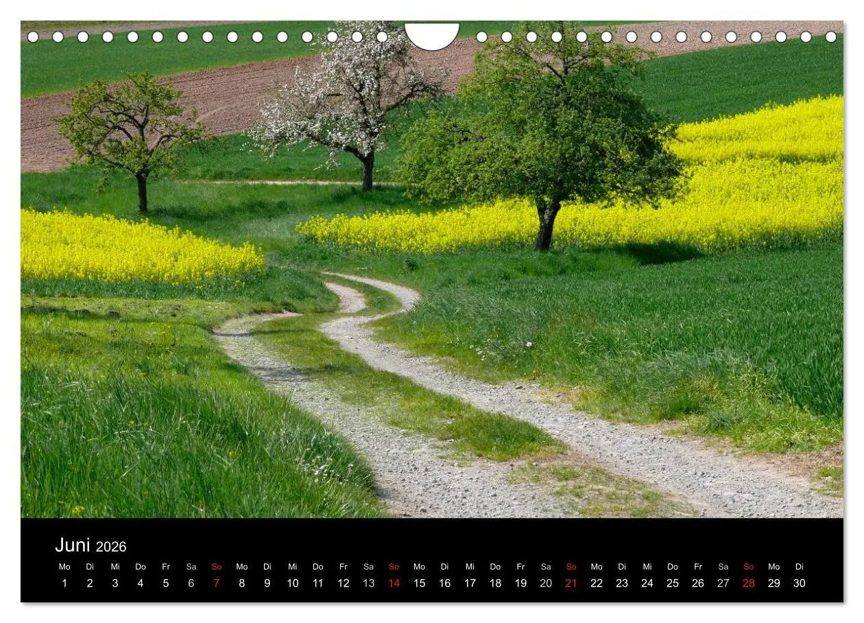 Bild: 9783516180015 | Wege 2026 (Wandkalender 2026 DIN A4 quer), CALVENDO Monatskalender