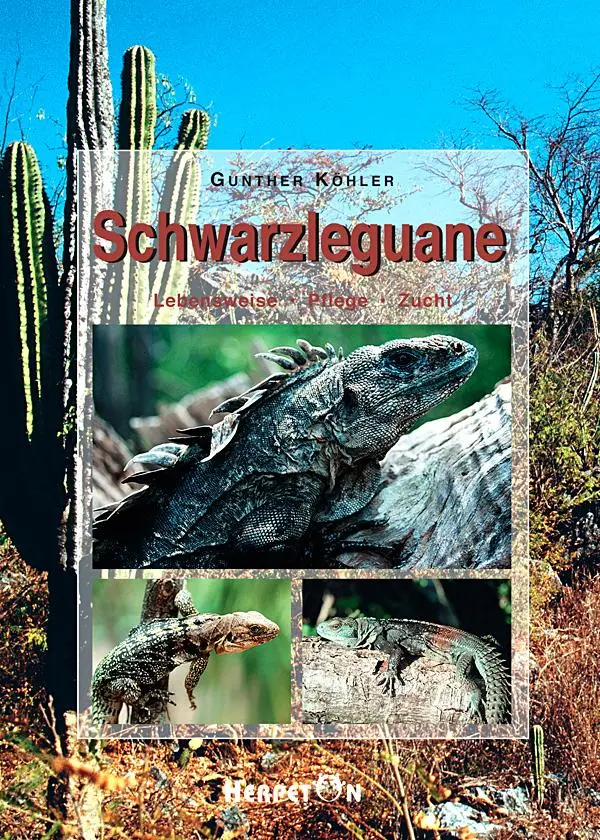 Cover: 9783936180015 | Schwarzleguane | Lebensweise - Pflege - Zucht | Gunther Köhler | Buch