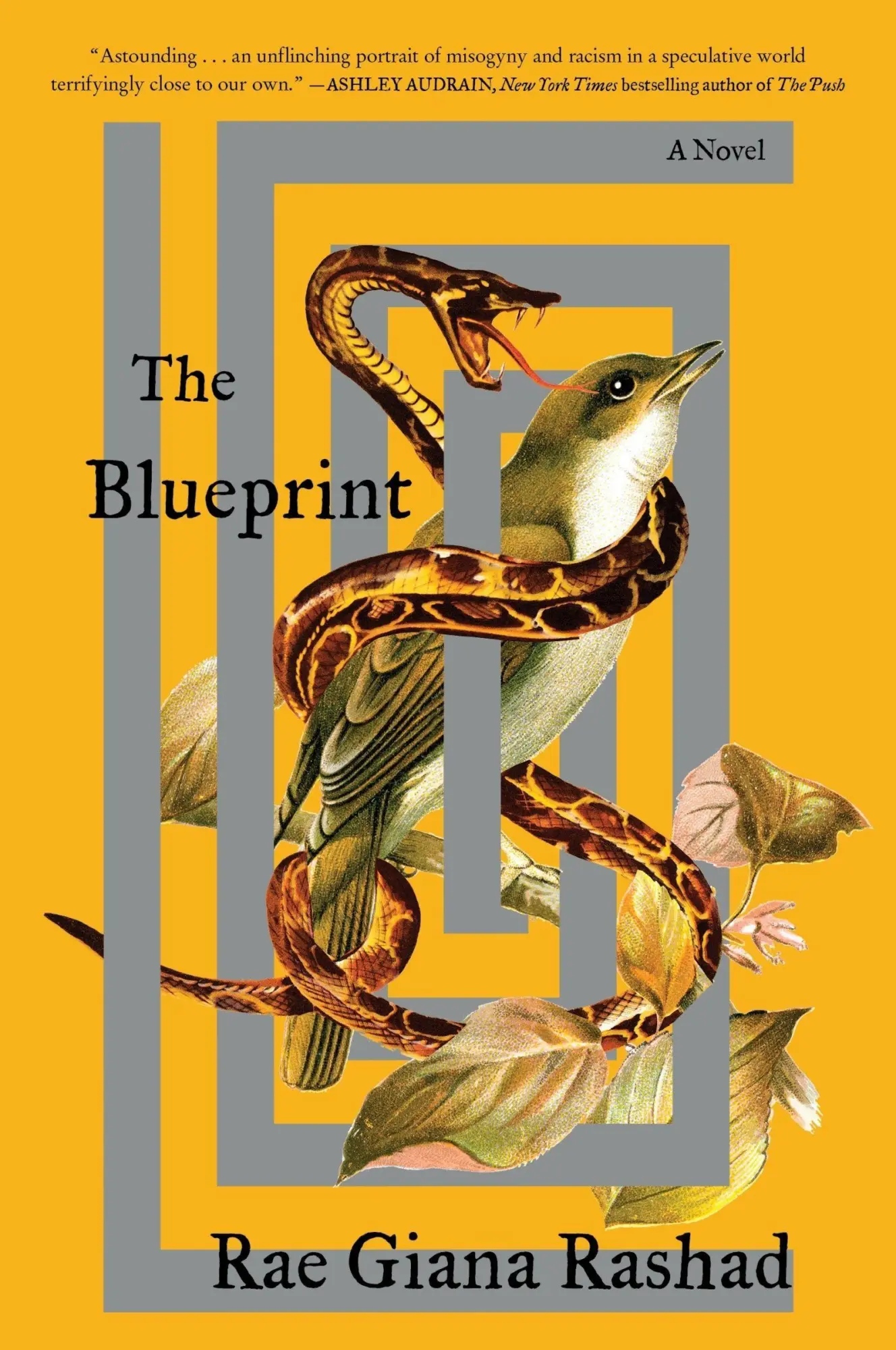 Cover: 9780063330115 | The Blueprint | Rae Giana Rashad | Taschenbuch | Englisch | 2025
