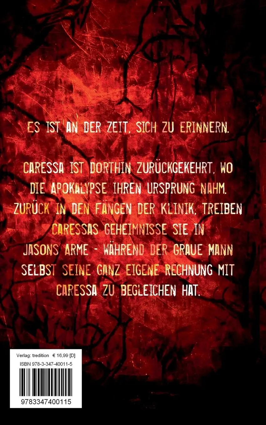 Rückseite: 9783347400115 | Fall - Projekt II | Celina Weithaas | Taschenbuch | 500 S. | Deutsch