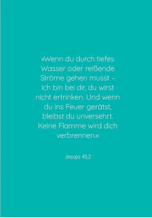 Bild: 9783417000115 | Auserwählt | Tiefer eintauchen Staffel 1 | Amanda Jenkins (u. a.)