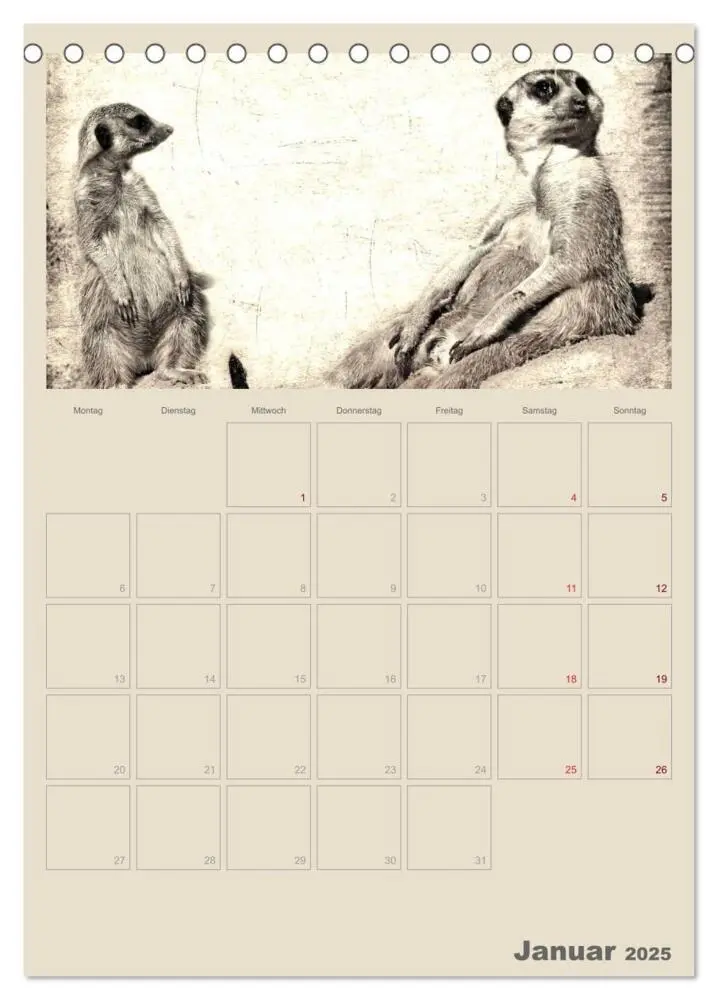 Bild: 9783457080115 | Lustige Erdmännchen (Tischkalender 2025 DIN A5 hoch), CALVENDO...
