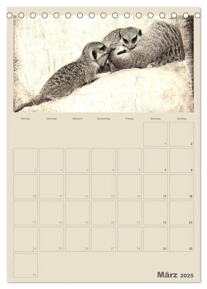 Bild: 9783457080115 | Lustige Erdmännchen (Tischkalender 2025 DIN A5 hoch), CALVENDO...