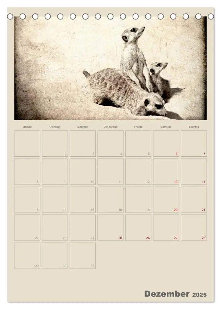 Bild: 9783457080115 | Lustige Erdmännchen (Tischkalender 2025 DIN A5 hoch), CALVENDO...