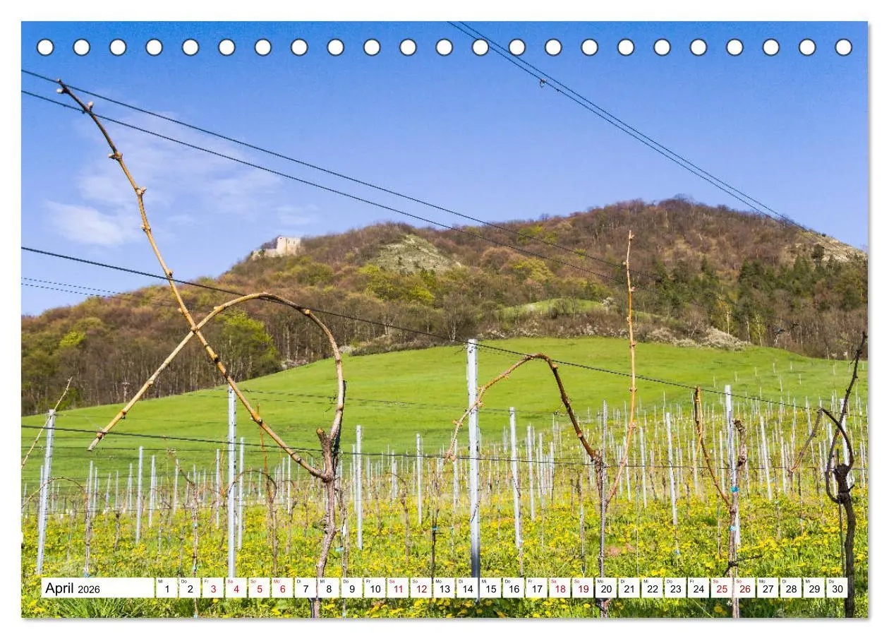Bild: 9783457770115 | Weinberge um Jena (Tischkalender 2026 DIN A5 quer), CALVENDO...