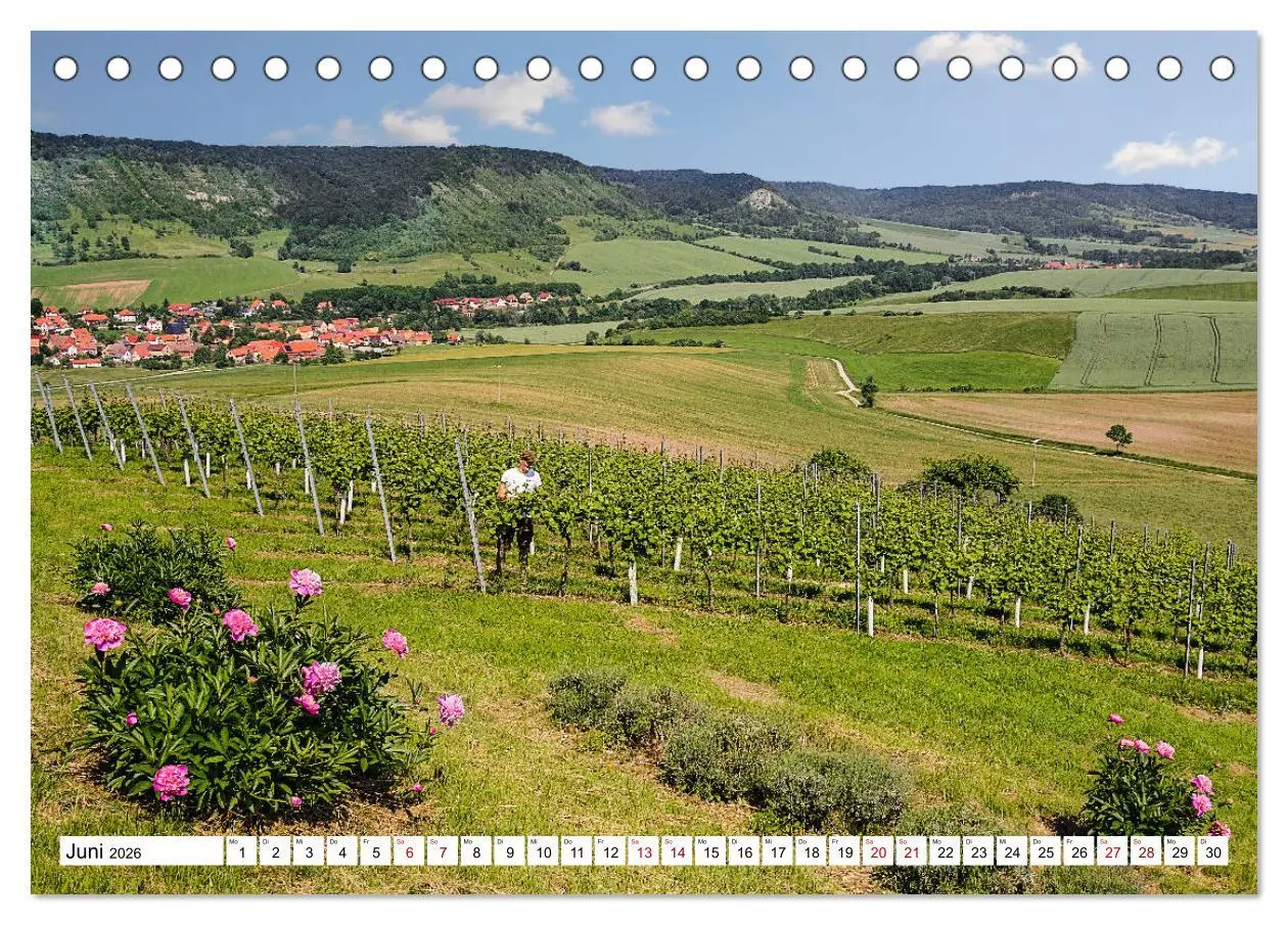 Bild: 9783457770115 | Weinberge um Jena (Tischkalender 2026 DIN A5 quer), CALVENDO...