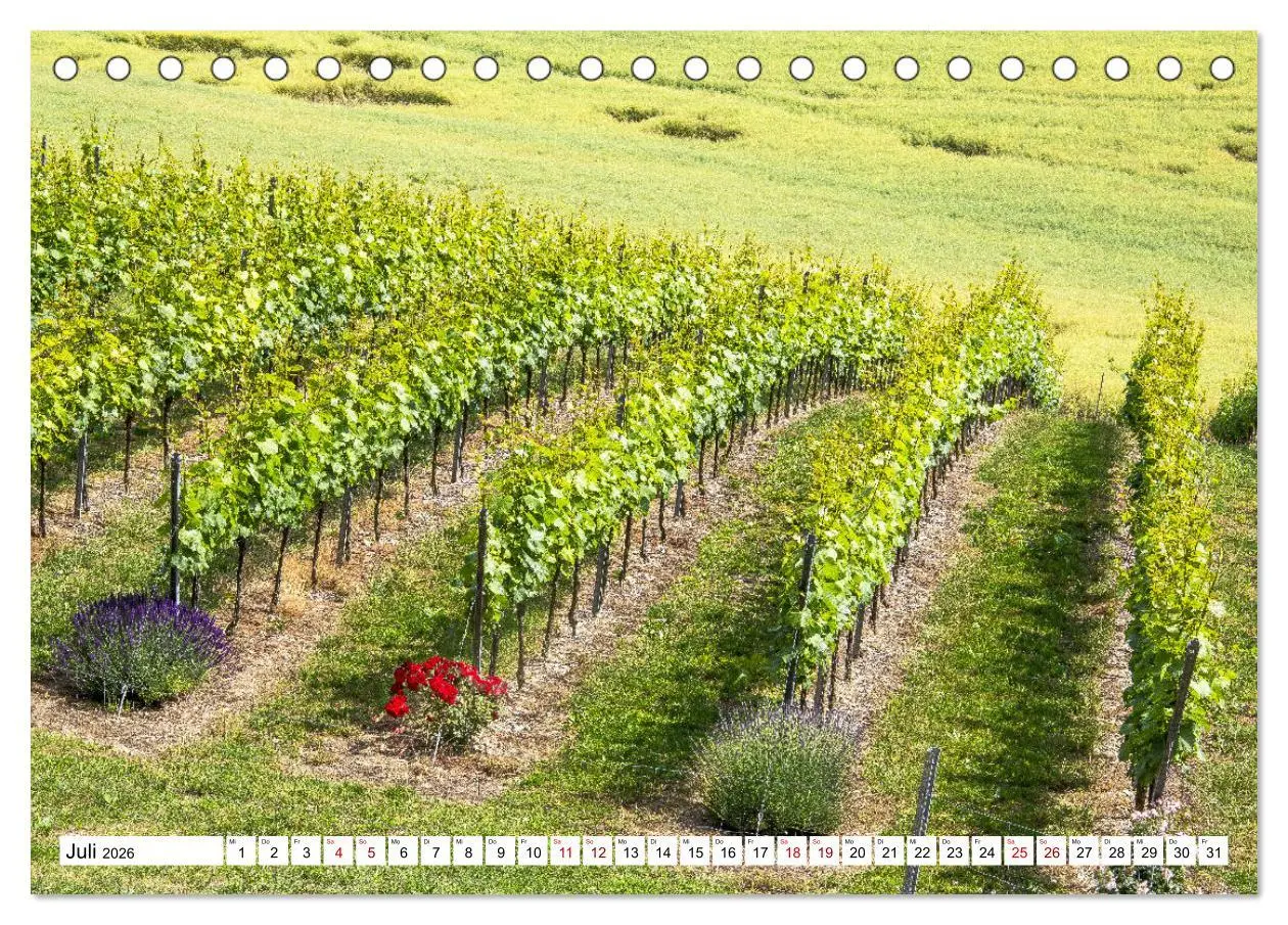 Bild: 9783457770115 | Weinberge um Jena (Tischkalender 2026 DIN A5 quer), CALVENDO...