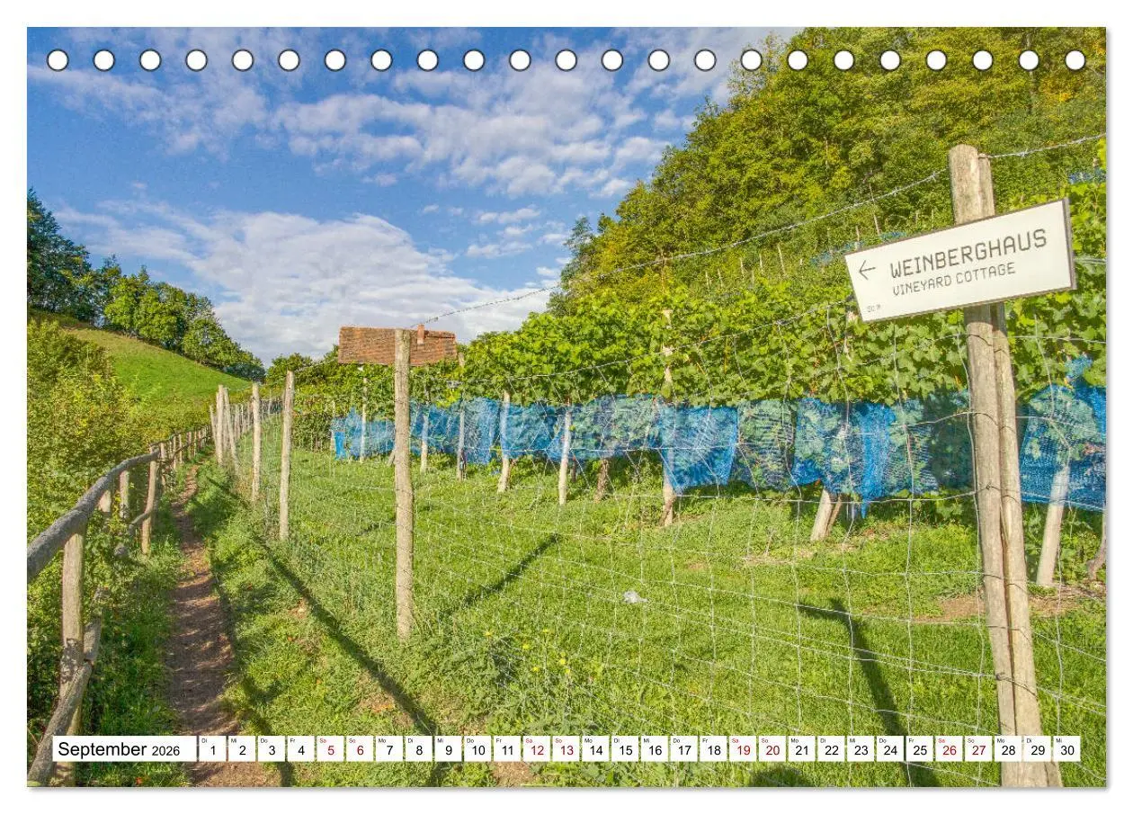 Bild: 9783457770115 | Weinberge um Jena (Tischkalender 2026 DIN A5 quer), CALVENDO...