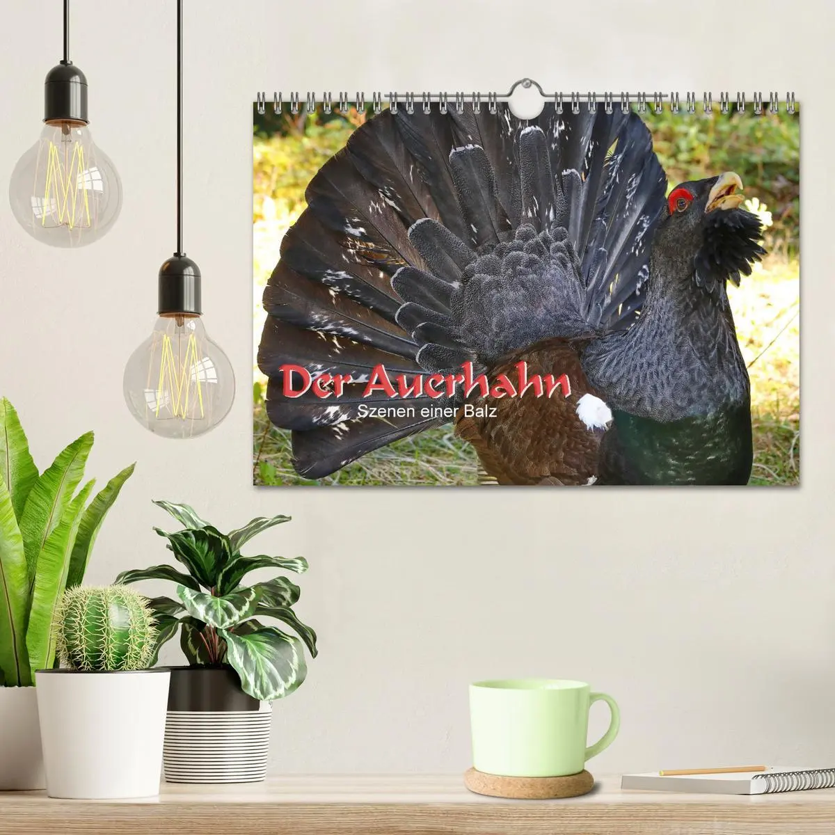 Bild: 9783457840115 | Der Auerhahn - Szenen einer Balz (Wandkalender 2026 DIN A4 quer),...