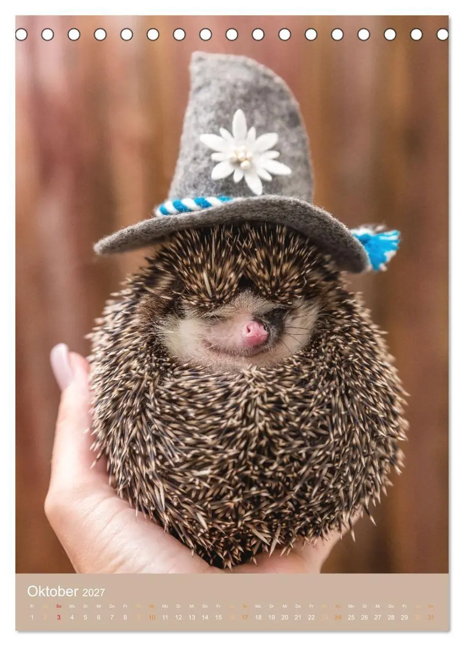 Bild: 9783569330115 | Gilbert der Igel (Tischkalender 2027 DIN A5 hoch), CALVENDO...
