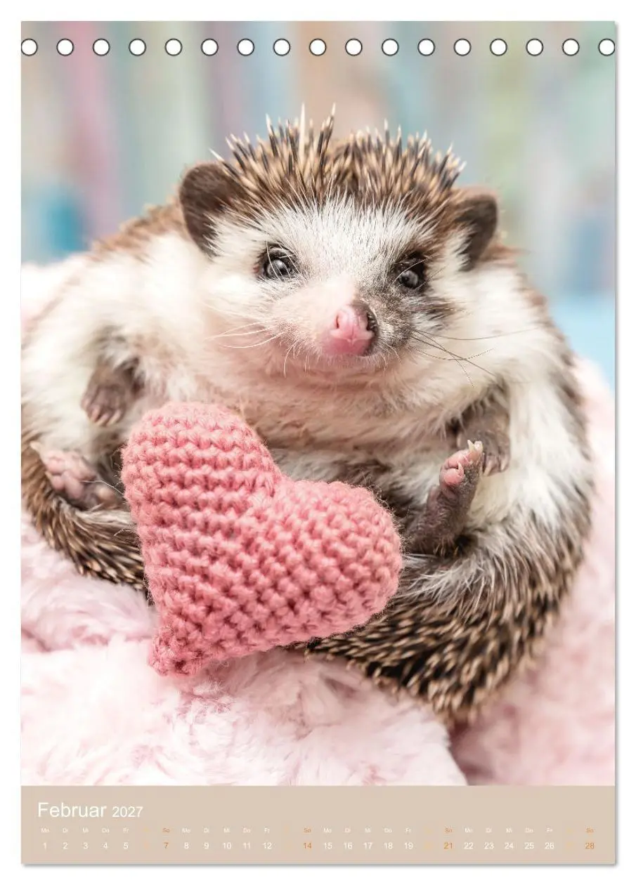 Bild: 9783569330115 | Gilbert der Igel (Tischkalender 2027 DIN A5 hoch), CALVENDO...