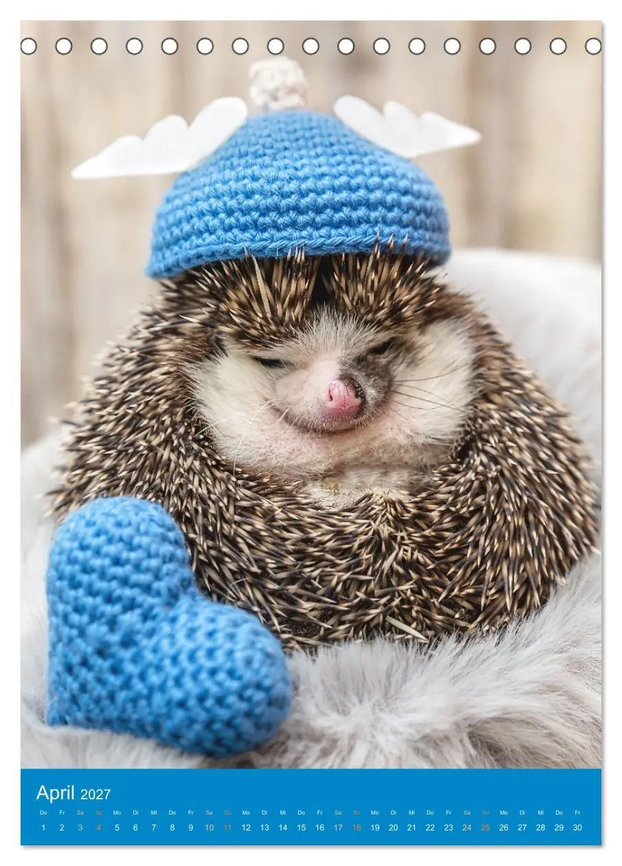 Bild: 9783569330115 | Gilbert der Igel (Tischkalender 2027 DIN A5 hoch), CALVENDO...