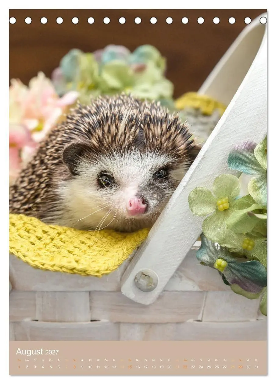 Bild: 9783569330115 | Gilbert der Igel (Tischkalender 2027 DIN A5 hoch), CALVENDO...