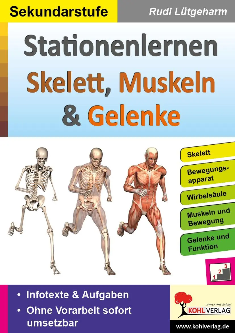 Cover: 9783966240215 | Stationenlernen Skelette, Muskeln &amp; Gelenke | Rudi Lütgeharm | Buch