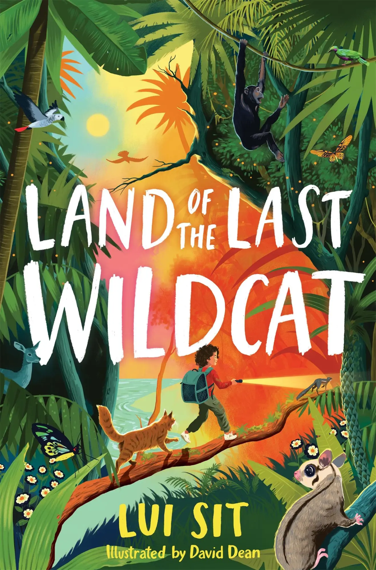 Cover: 9781035040315 | Land of the Last Wildcat | Lui Sit | Taschenbuch | Englisch | 2025
