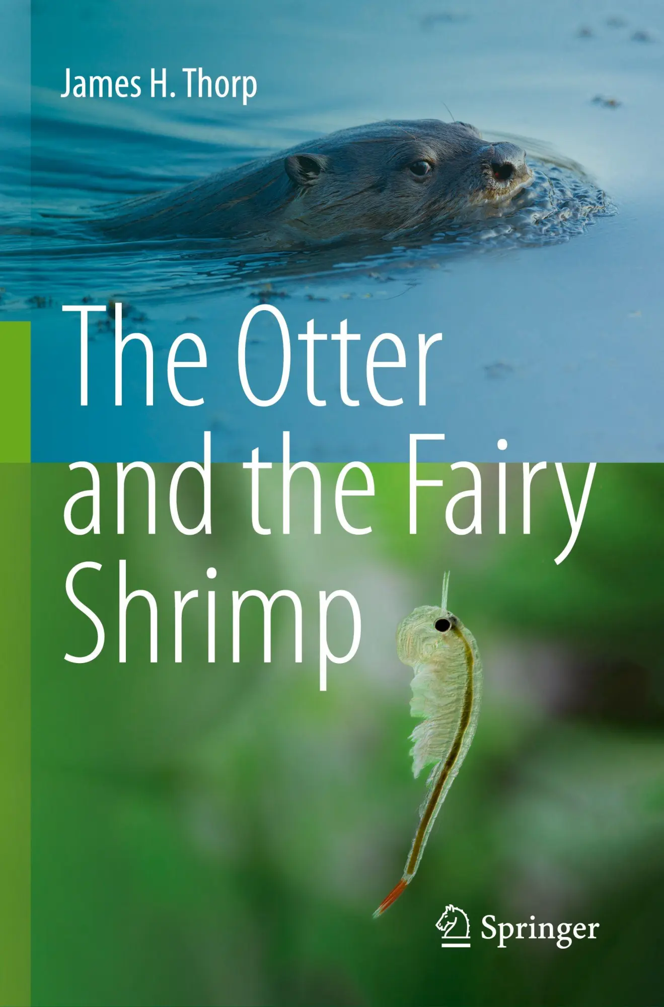 Cover: 9783031640315 | The Otter and the Fairy Shrimp | James H. Thorp | Taschenbuch | xiii