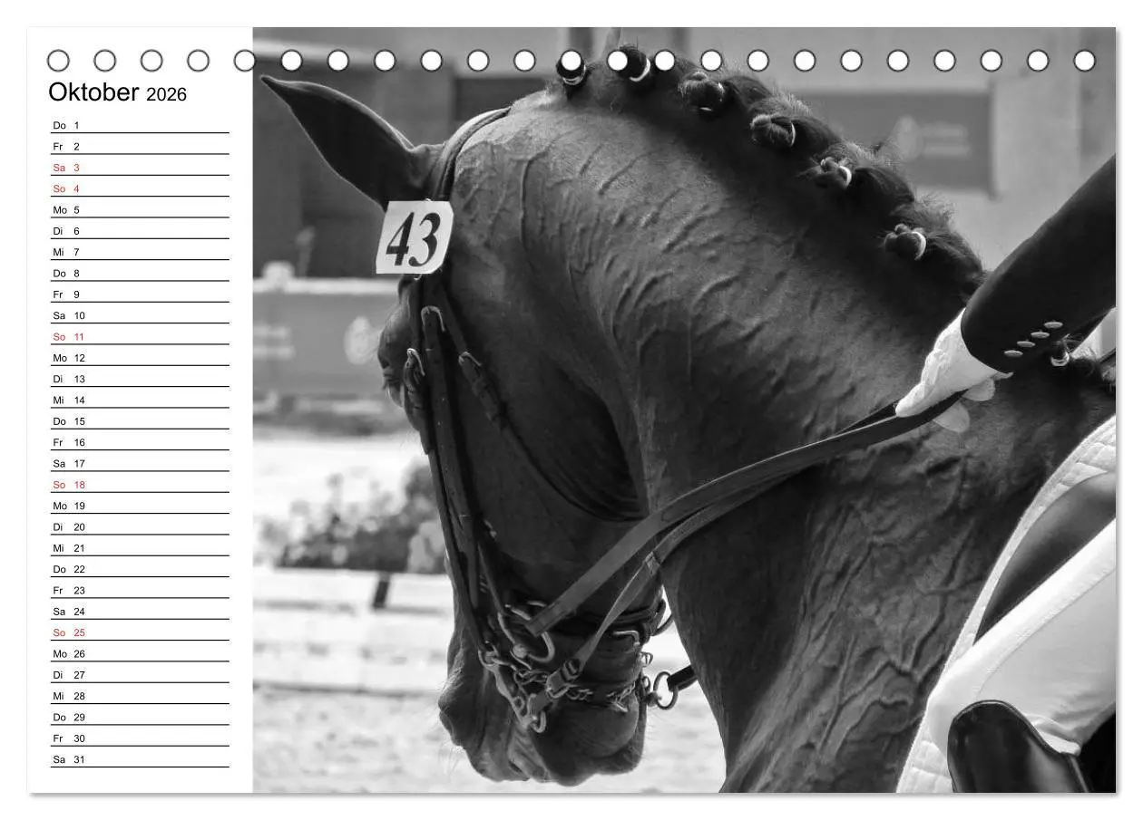 Bild: 9783457990315 | Leidenschaft Pferdesport - Impressionen (Tischkalender 2026 DIN A5...
