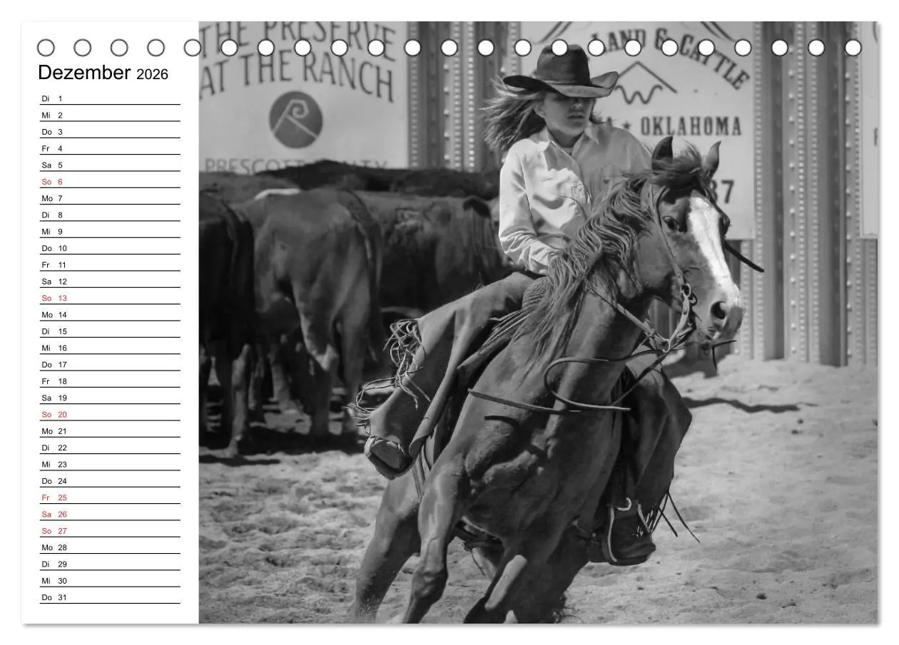 Bild: 9783457990315 | Leidenschaft Pferdesport - Impressionen (Tischkalender 2026 DIN A5...