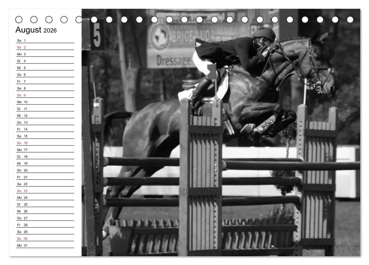 Bild: 9783457990315 | Leidenschaft Pferdesport - Impressionen (Tischkalender 2026 DIN A5...