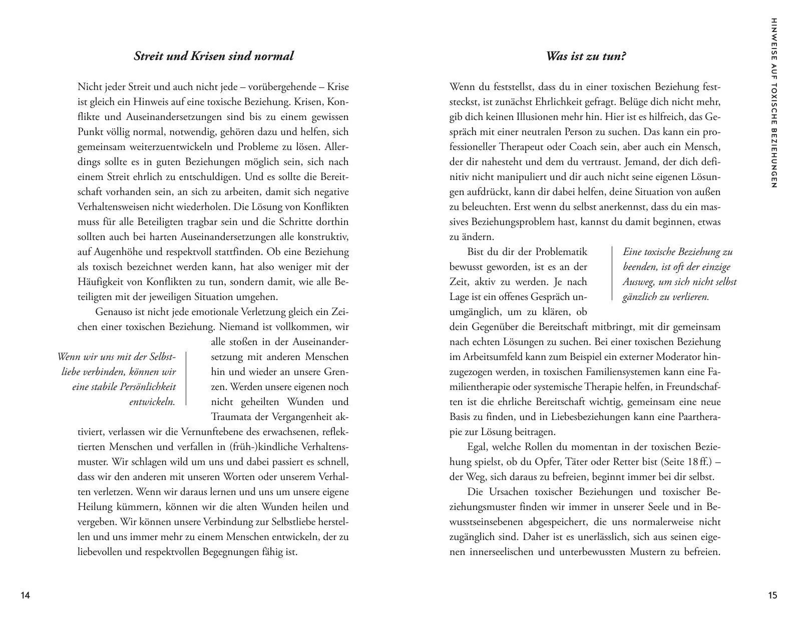 Bild: 9783833880315 | Toxische Beziehungen schamanisch heilen | Stefan Limmer | Taschenbuch
